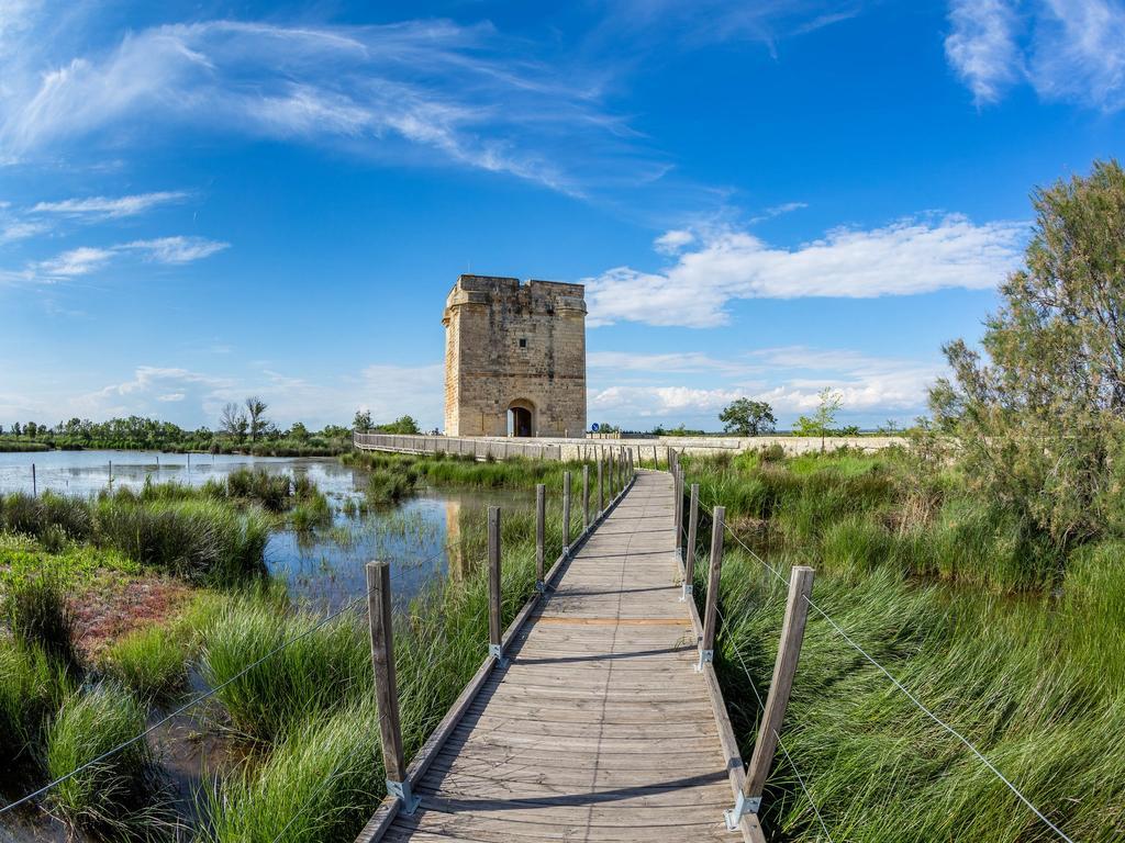 Artemia Aigues-Mortes - Hotel Avec Piscine Exteriör bild